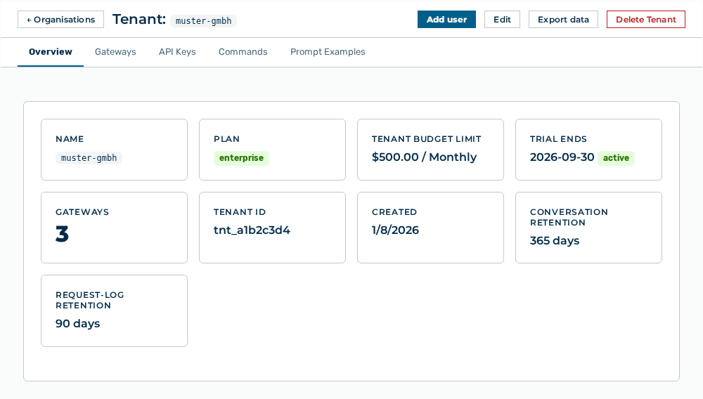 Overview tab of the detail view of a tenant with the key figures of the tenant