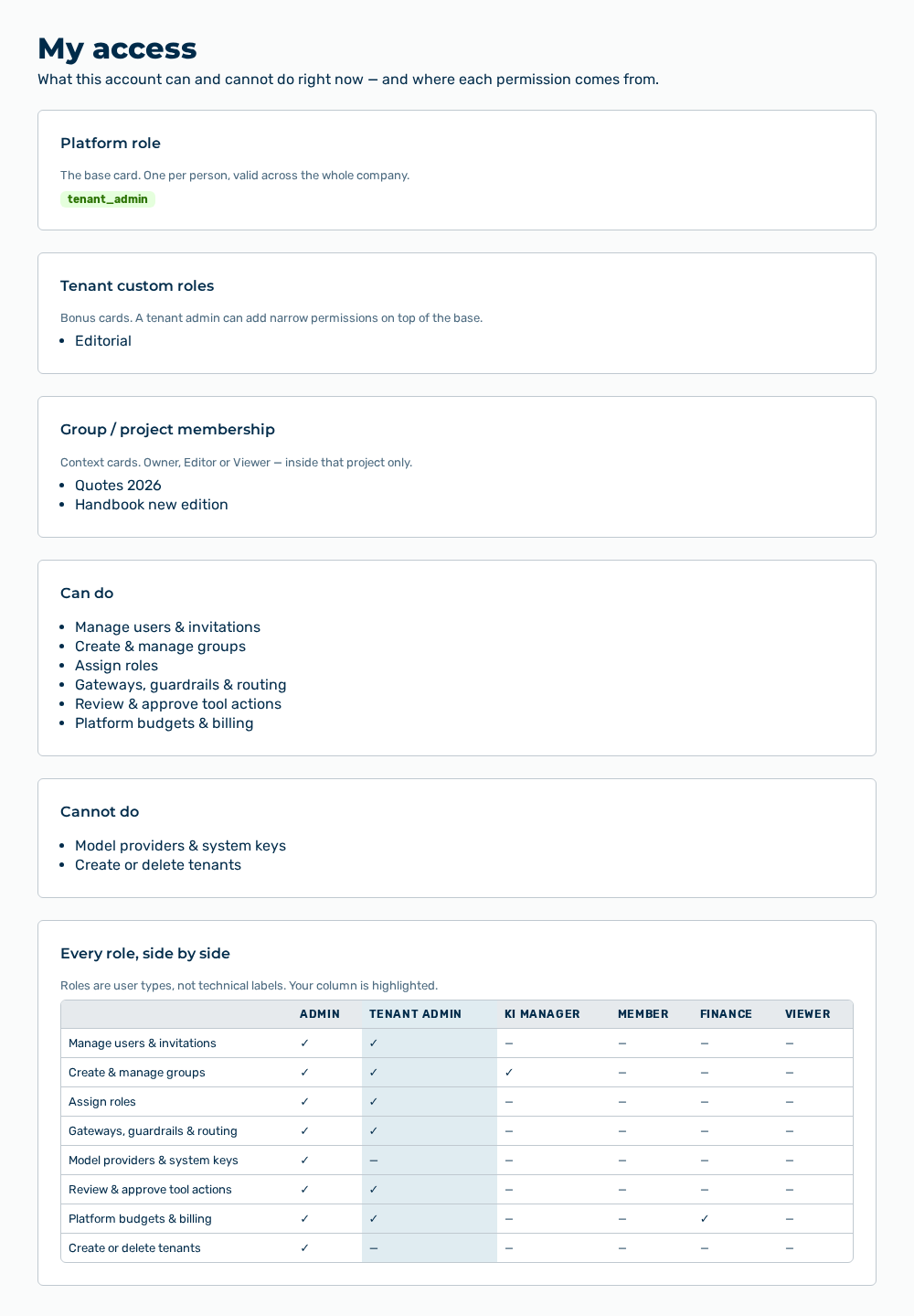 My access view with the Platform role, Tenant custom roles, and Group / project membership cards