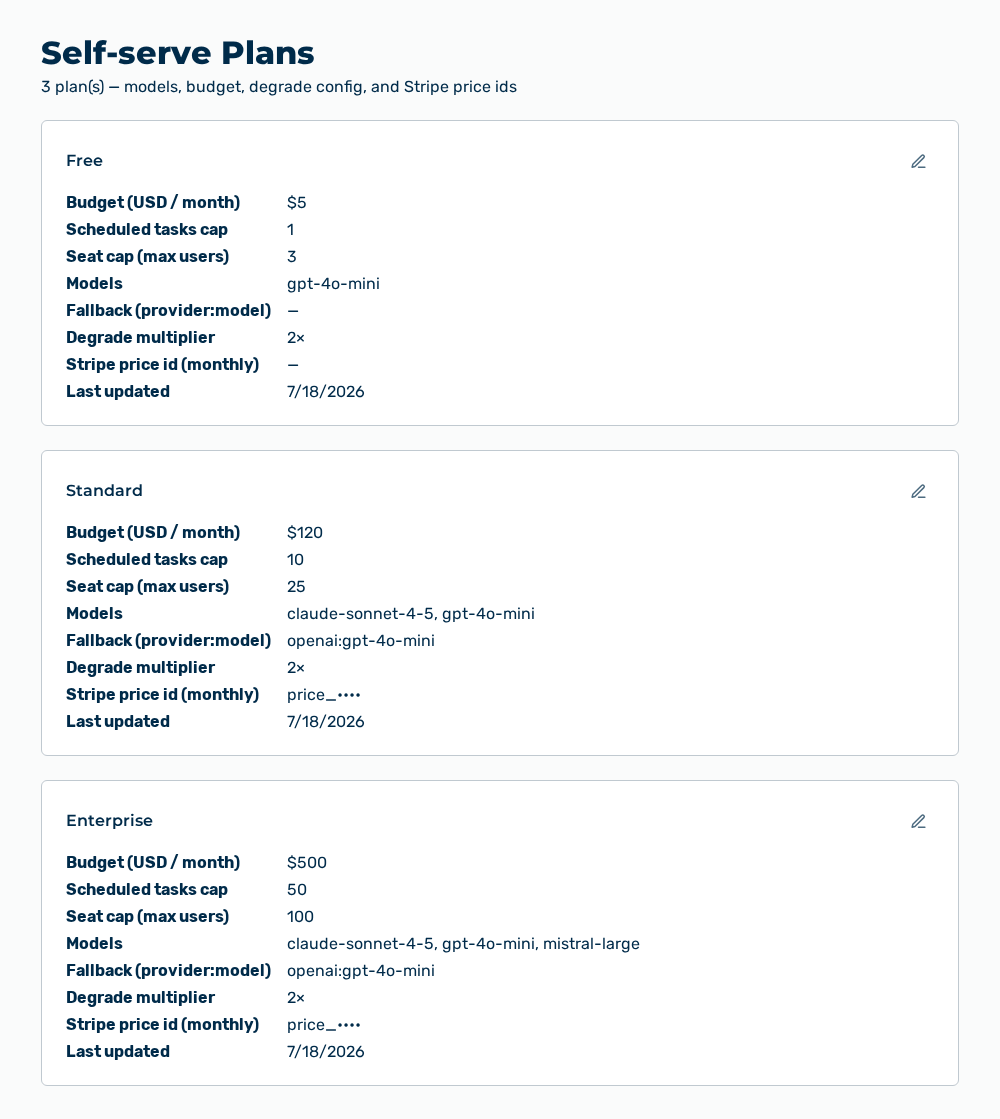 Self-serve Plans view with the plan changed